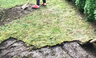 Снятие дерна старого газона в Ухте – от 527 руб. | 2Землекопа-Хта